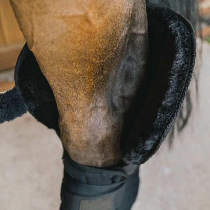 Protections de jambe Hock Transport Protection Noir