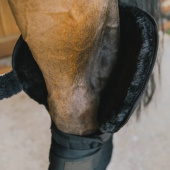 Protections de jambe Hock Transport Protection Noir Protections de jambe Hock Transport Protection Noir