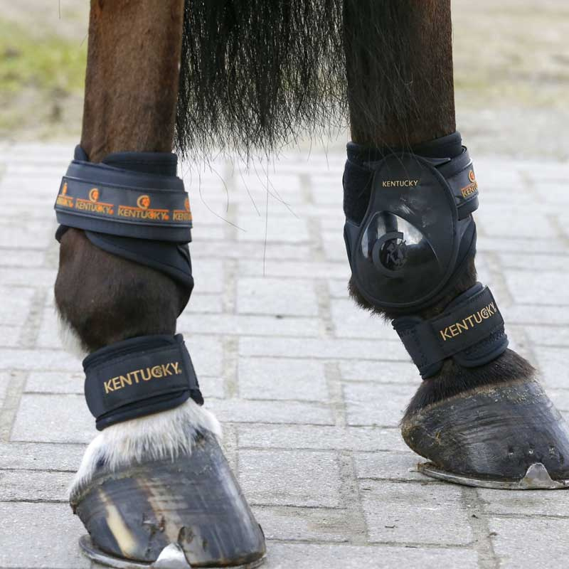 Protège-paturons Noir Taille Unique