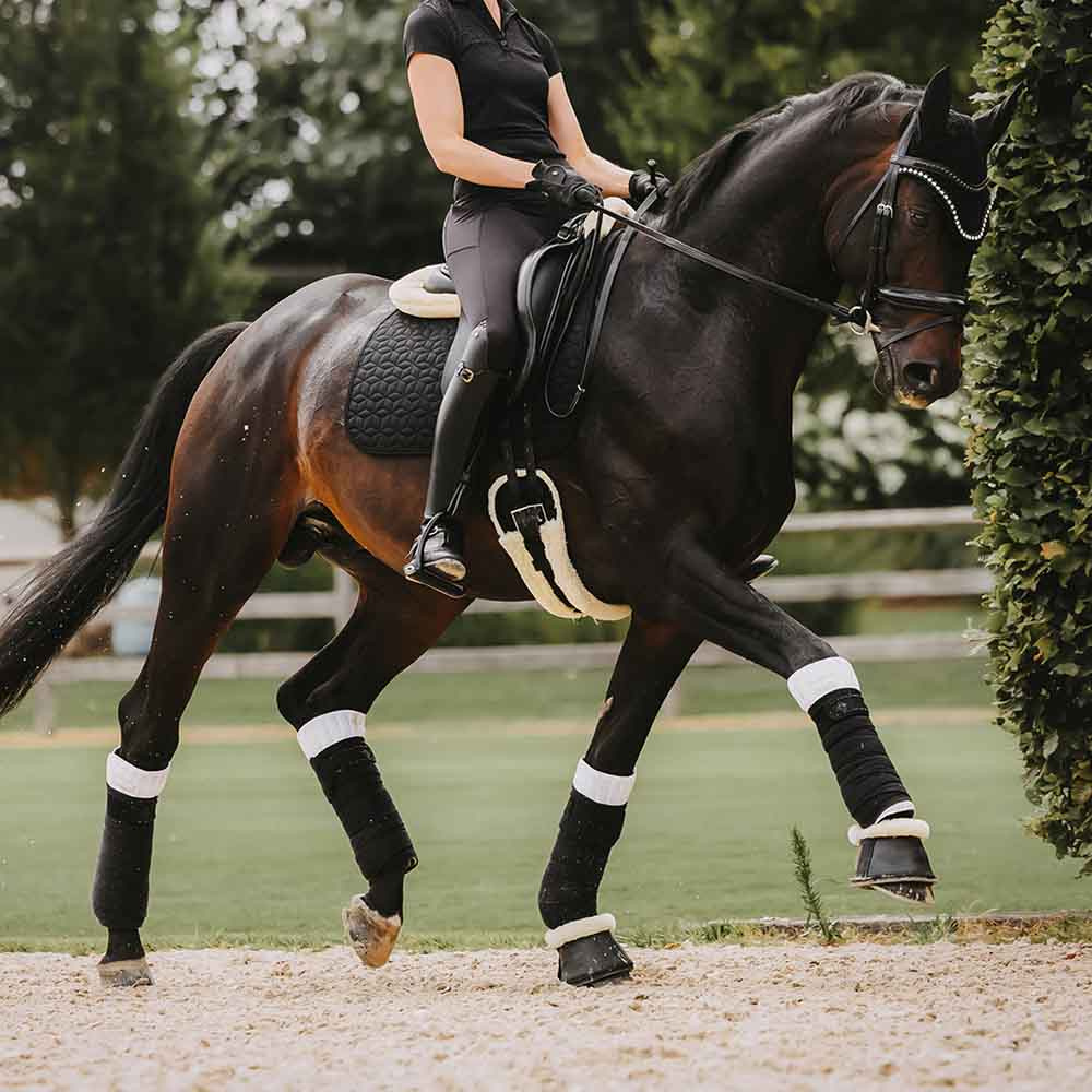 Protections de jambe Working Absorb Blanc/Noir