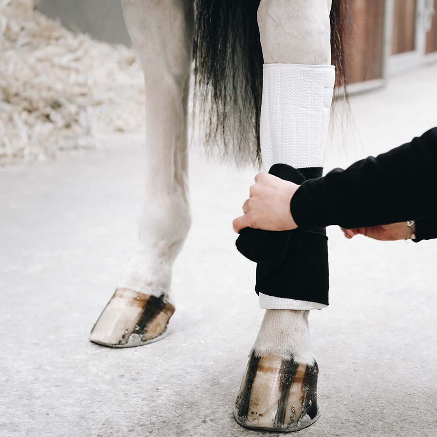 Protections de jambe Working Absorb Blanc/Noir