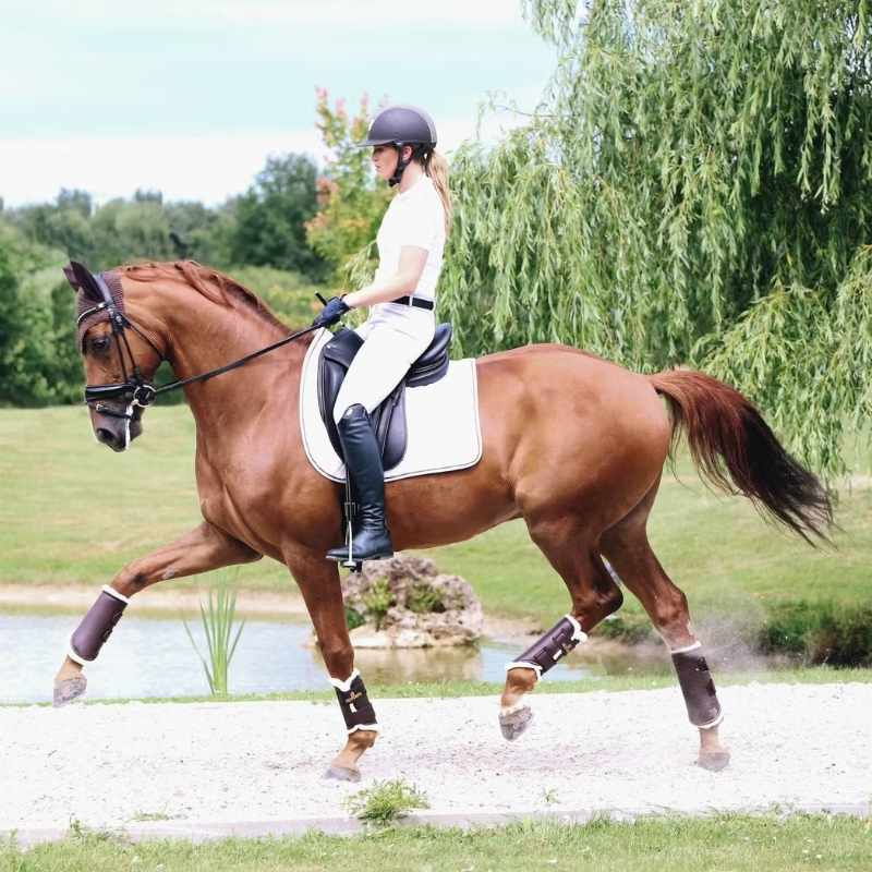 Guêtres Leather Hind Marron