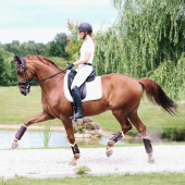 Guêtres Leather Hind Marron Guêtres Leather Hind Marron