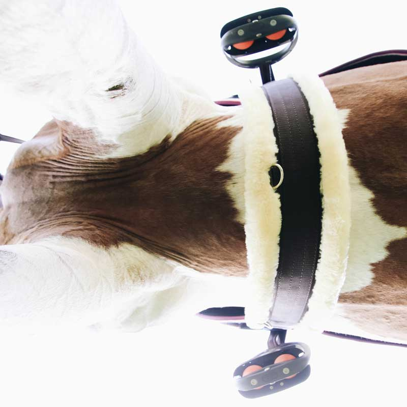 Sangle de selle en peau de mouton Noir