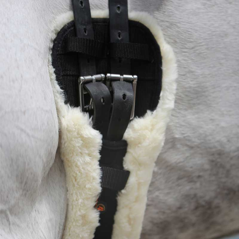 Sangle de dressage en peau de mouton noir