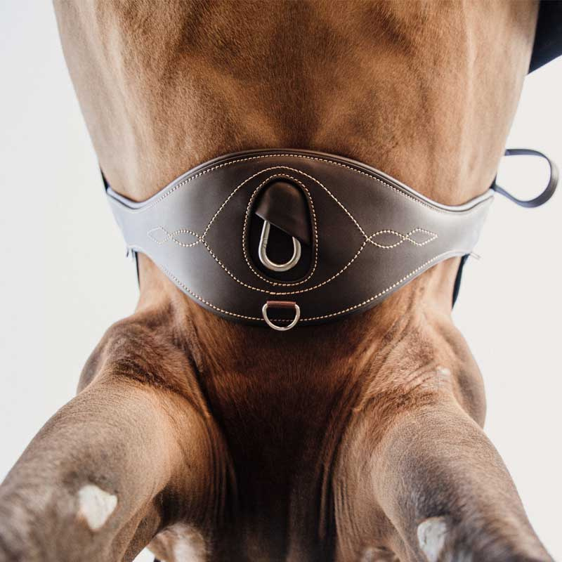 Anatomique sangle de selle brun