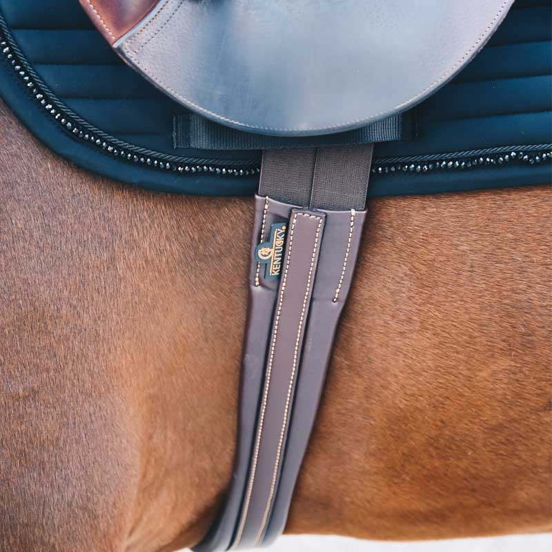 Sangle de selle pour jeune cheval Marron