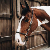 Halter de toilettage Artificial Leather Marron Halter de toilettage Artificial Leather Marron