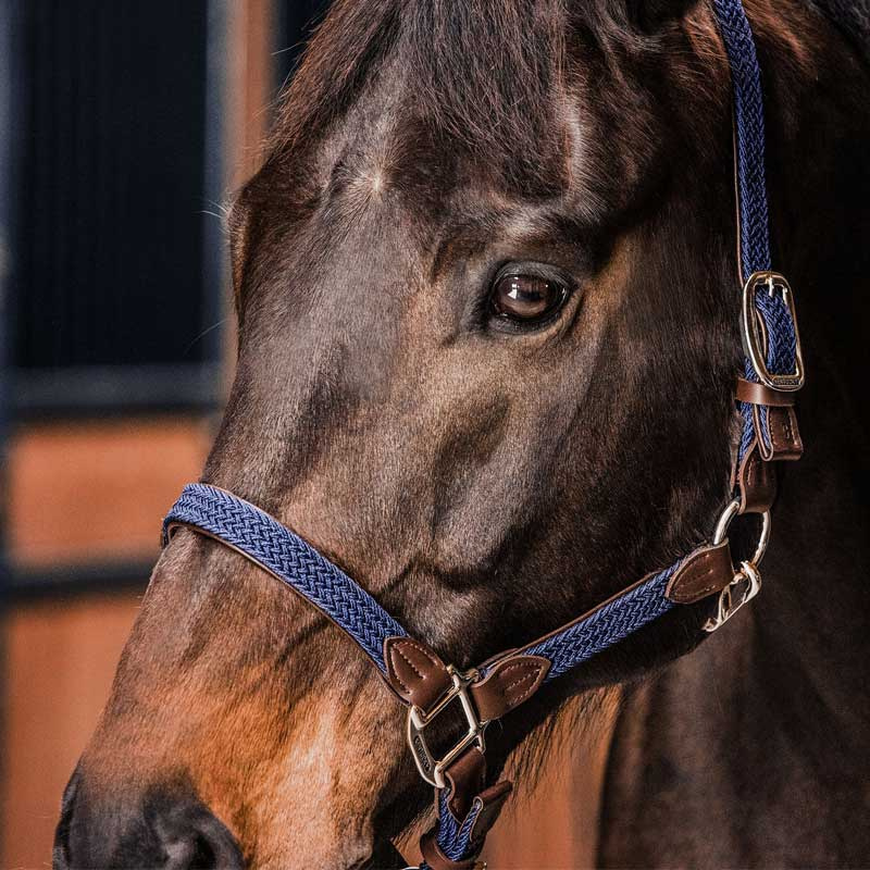 Licol en nylon tressé Bleu Marine