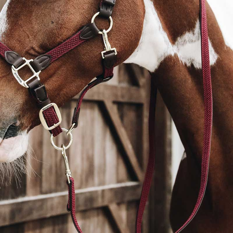 Longes Basic Bleu Marinee