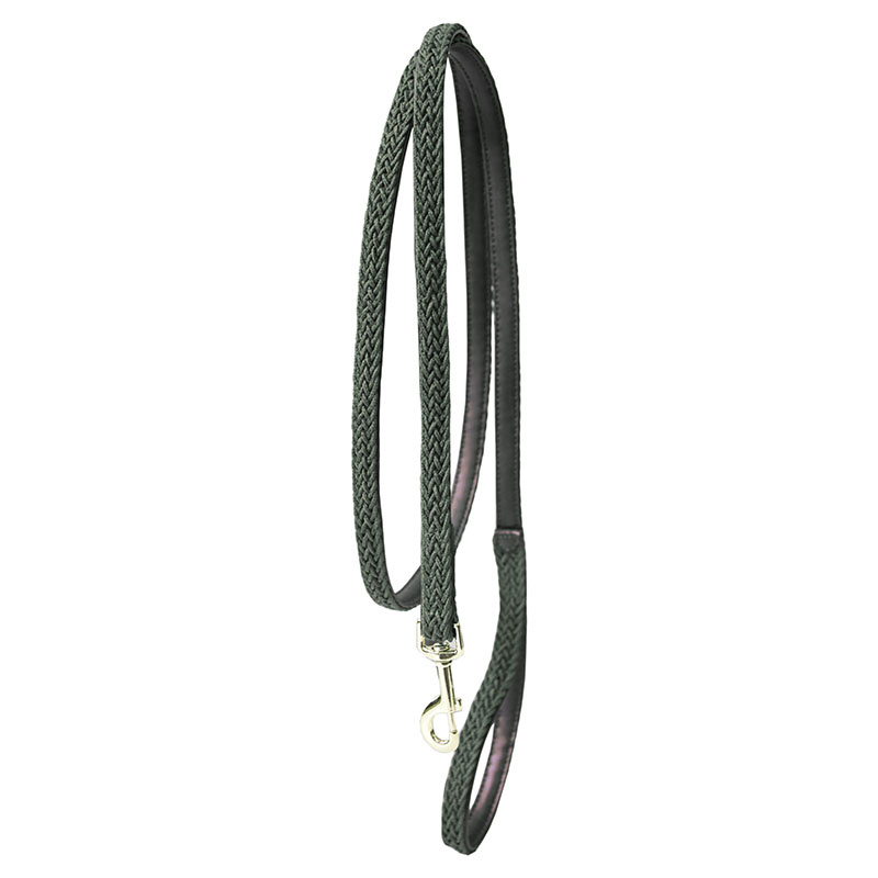 Laisse en Nylon tressé 2m Vert olive