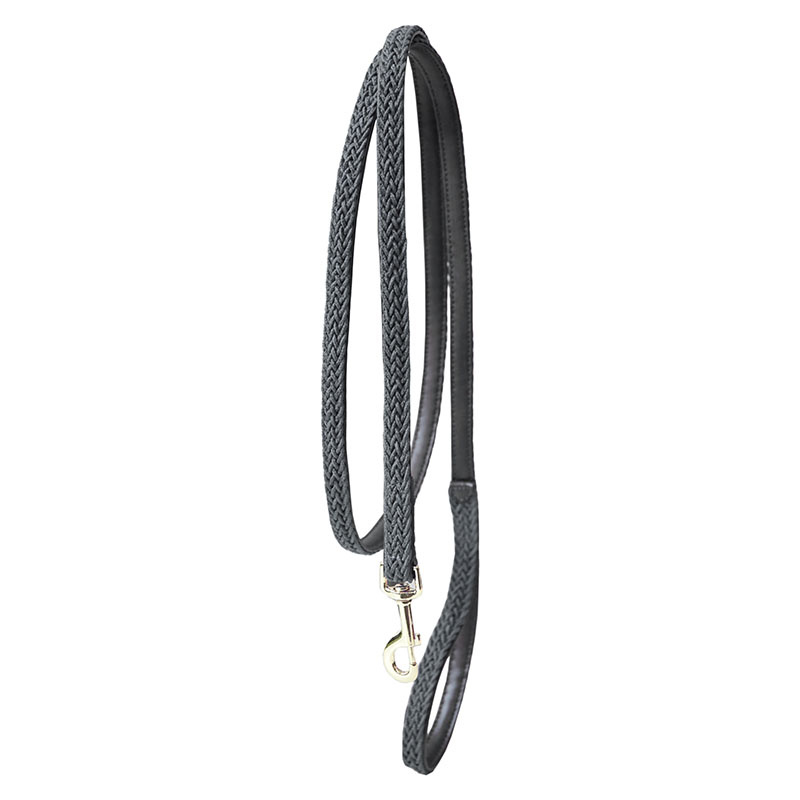 Laisse en Nylon tressé 2m Gris
