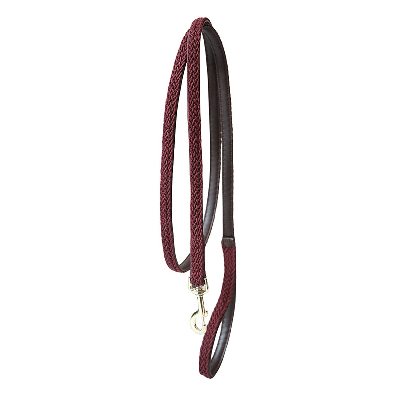 Laisse en Nylon tressé 2m Rouge vin