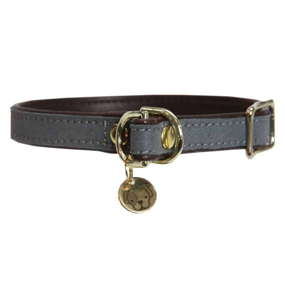 Collier pour chien Loop Gris 