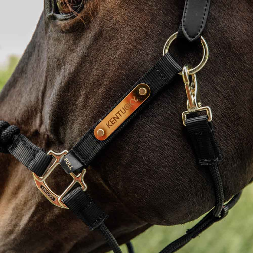 Licol Control Nylon Rope Noir