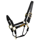 Licol Control Nylon Rope Noir Licol Control Nylon Rope Noir
