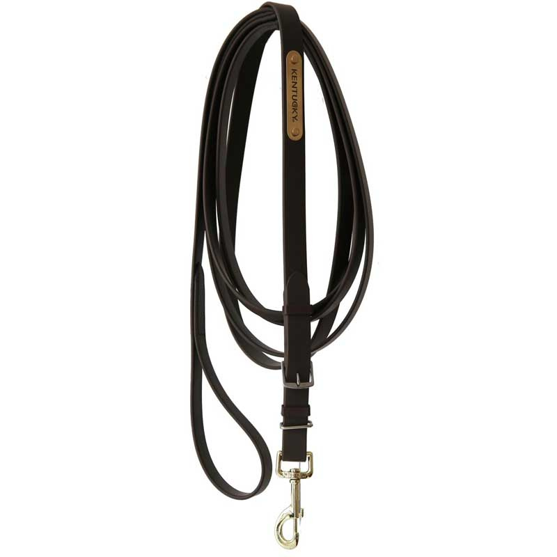 Longe de présentation 4m Marron