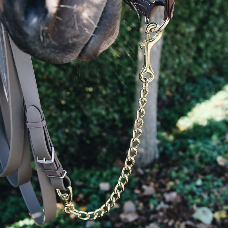 Chaîne Stallion Or 60