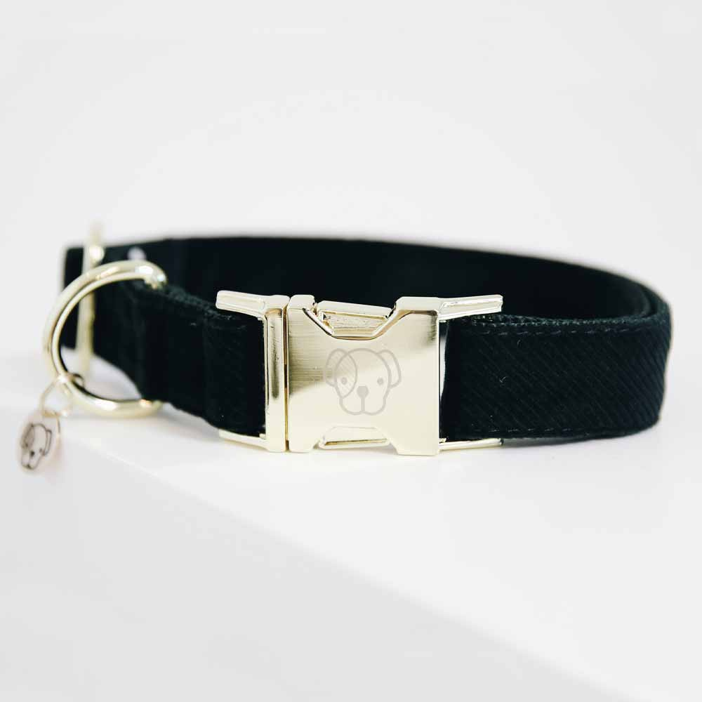 Collier pour chien en Corduroy Vert 