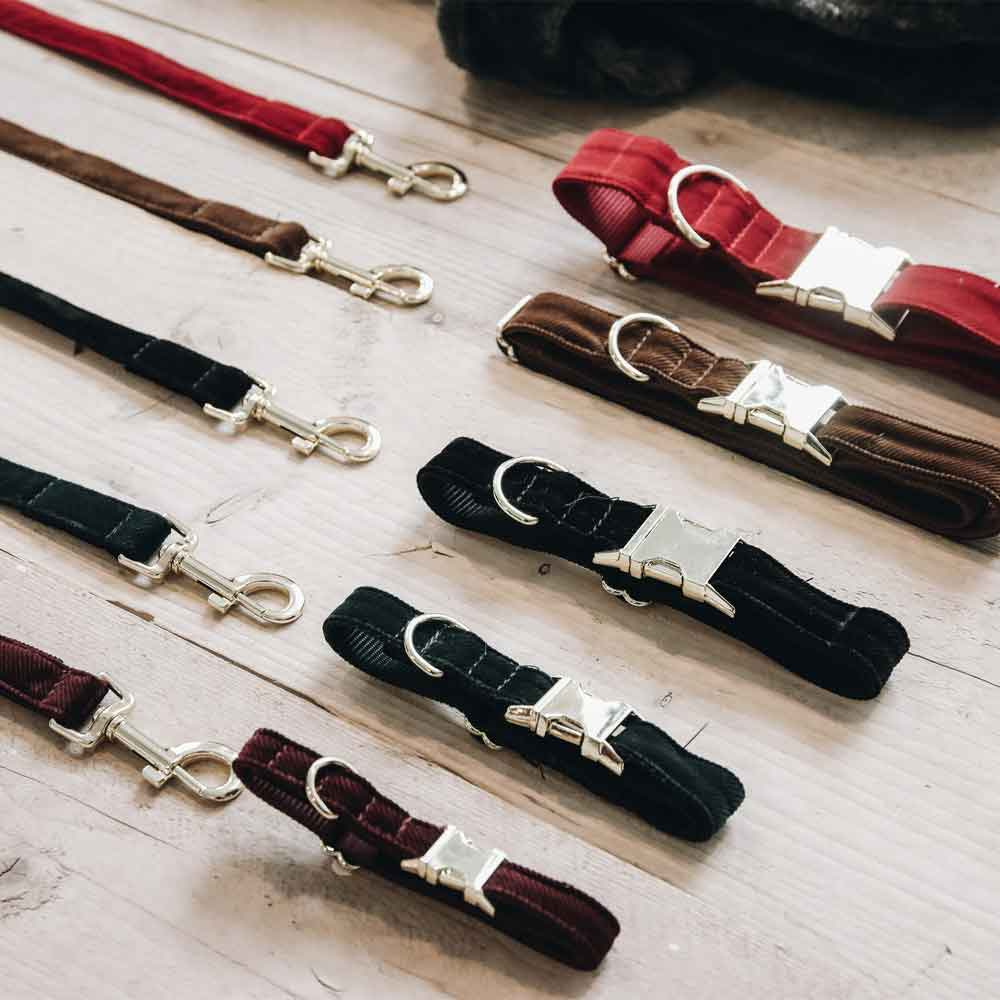 Collier pour chien en Corduroy Vert 