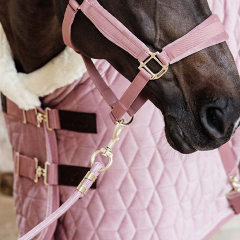 Licol Basic Vieux Rose