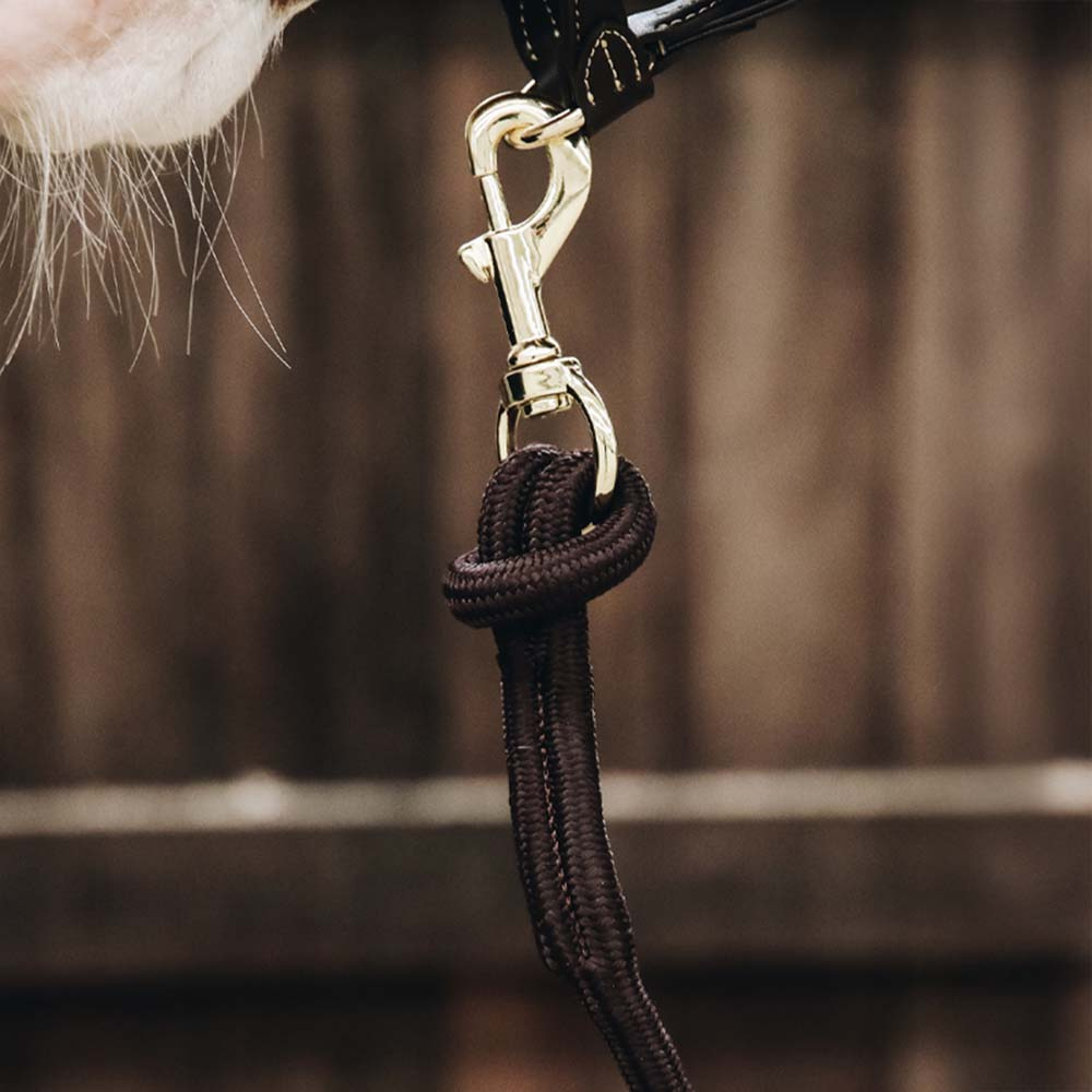 Licol Loop Marron