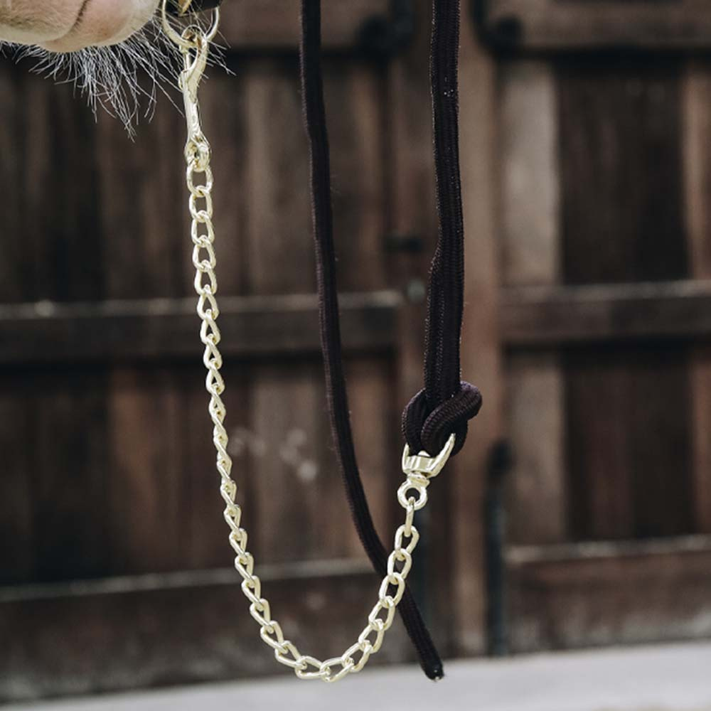 Licol Loop Marron