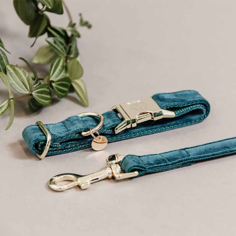Collier pour chien en Velours Vert Émeraude 