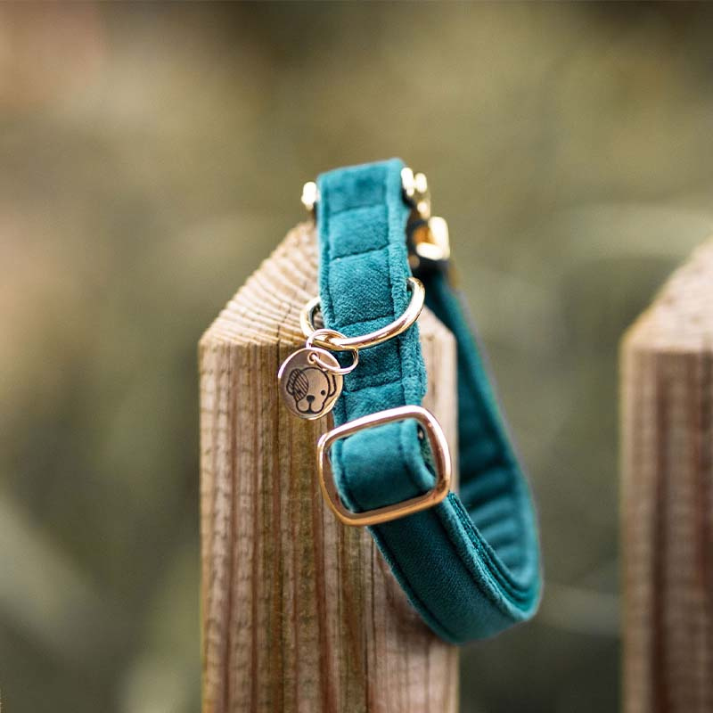 Collier pour chien en Velours Vert Émeraude 