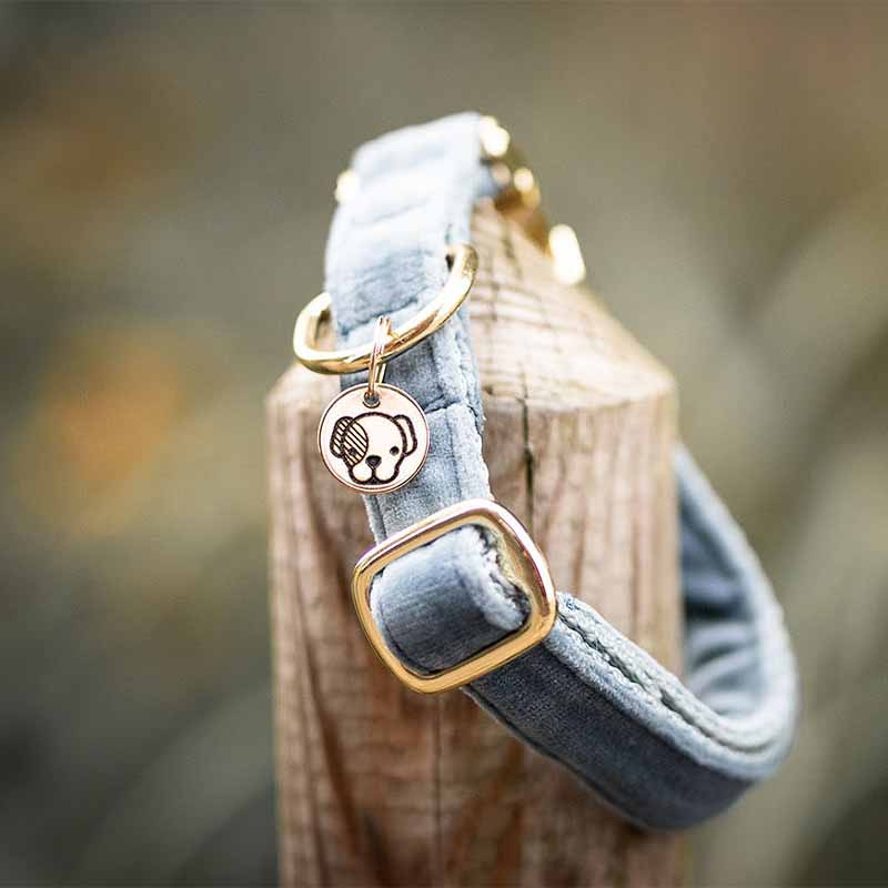 Collier pour chien en Velours Bleu Clair 