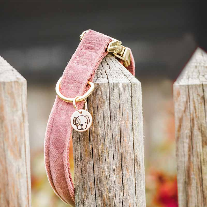 Collier pour chien en Velours Rose Vieux 