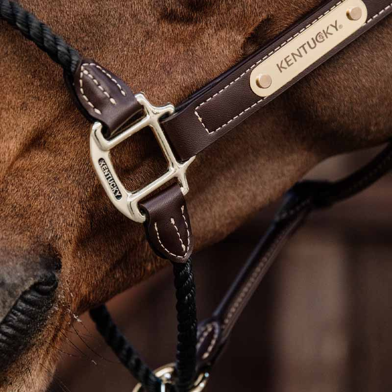 Halter en cuir Rope Artificial Marron