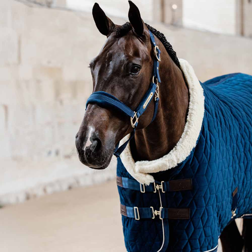 Licol Velvet Bleu Marine