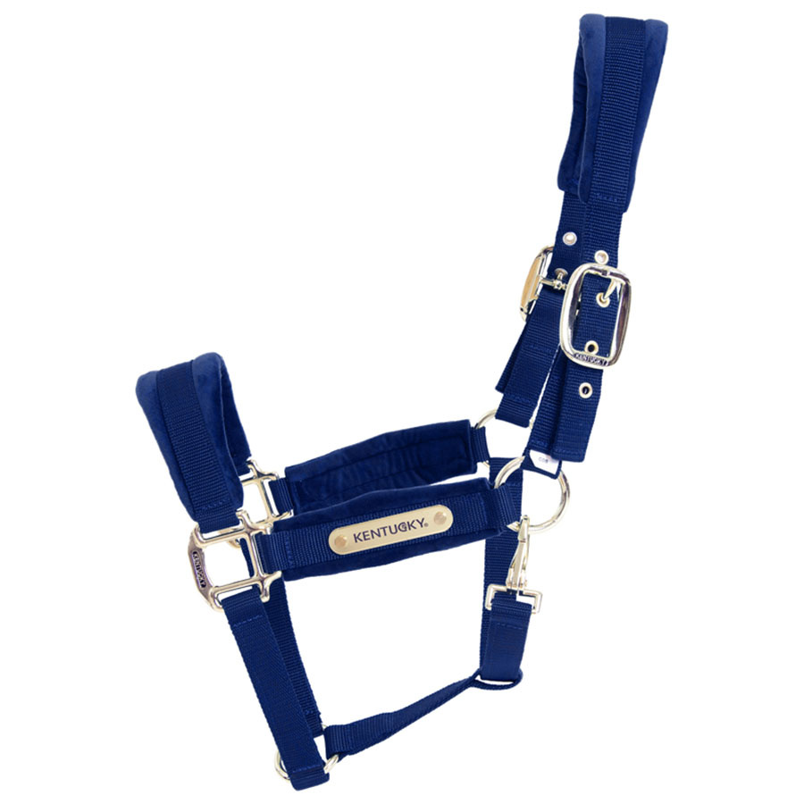 Licol Velvet Bleu Marine