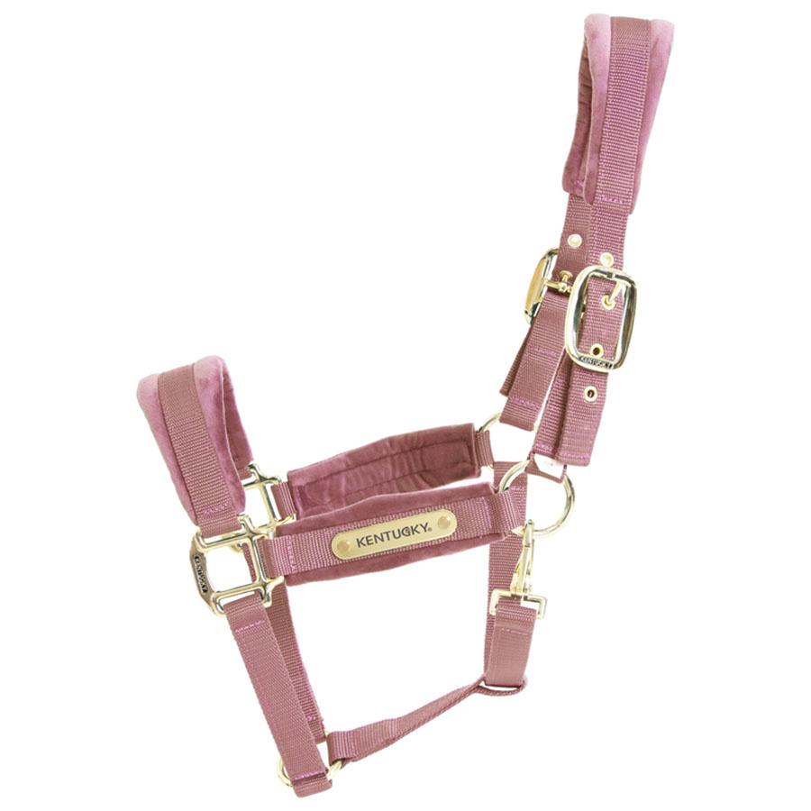 Licol Velvet Vieux Rose