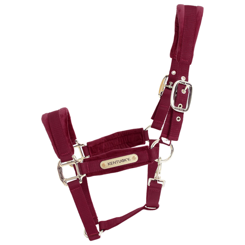 Licol Velvet Bordeaux