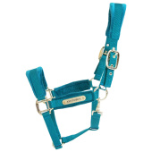 Licol Velvet Vert Émeraude Licol Velvet Vert Émeraude