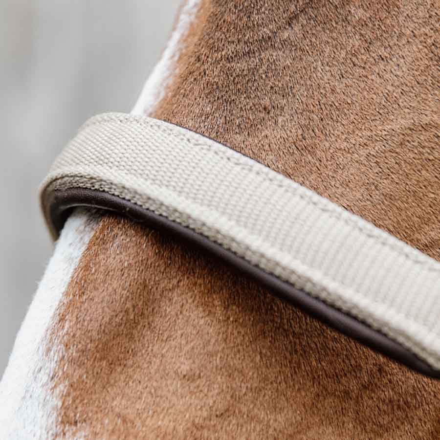 Licol Anatomic Nylon Beige