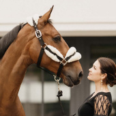 Licol Sheepskin Soft Nature Licol Sheepskin Soft Nature