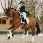 Tapis de selle de dressage Perles Blanc Tapis de selle de dressage Perles Blanc