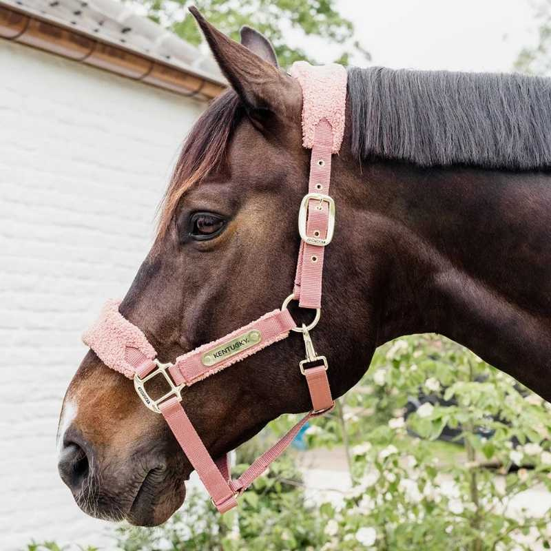 Licol Teddy Fleece Vieux Rose