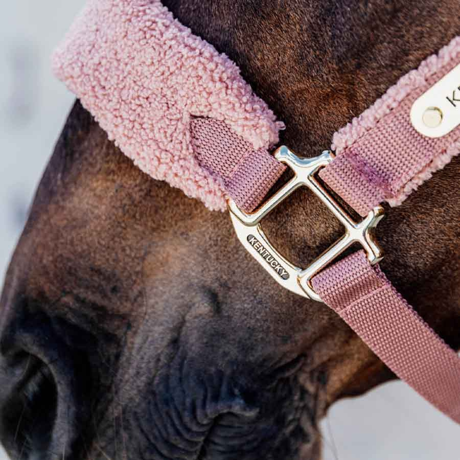 Licol Teddy Fleece Vieux Rose