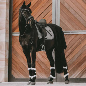 Tapis de selle dressage Pied-de-Poule Noir Tapis de selle dressage Pied-de-Poule Noir