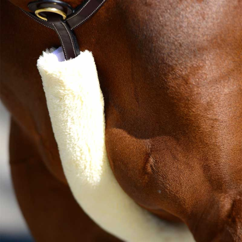 Protection pour poitrail en peau de mouton Naturel