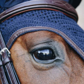 Bonnet Wellington Leather Soundless Bleu Marine Bonnet Wellington Leather Soundless Bleu Marine