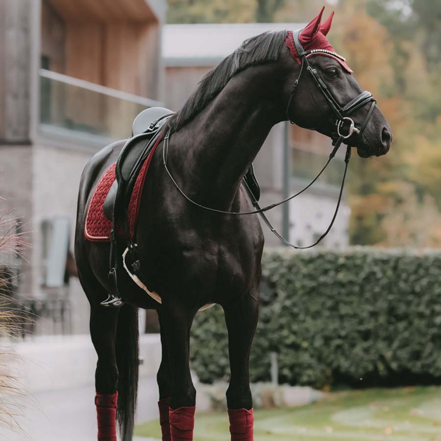 Bonnet Wellington Velvet Bordeaux