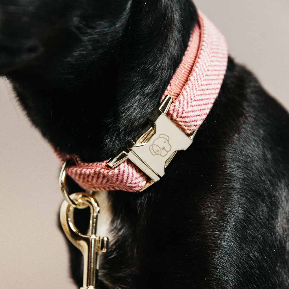 Collier pour chien en Laine Gris 