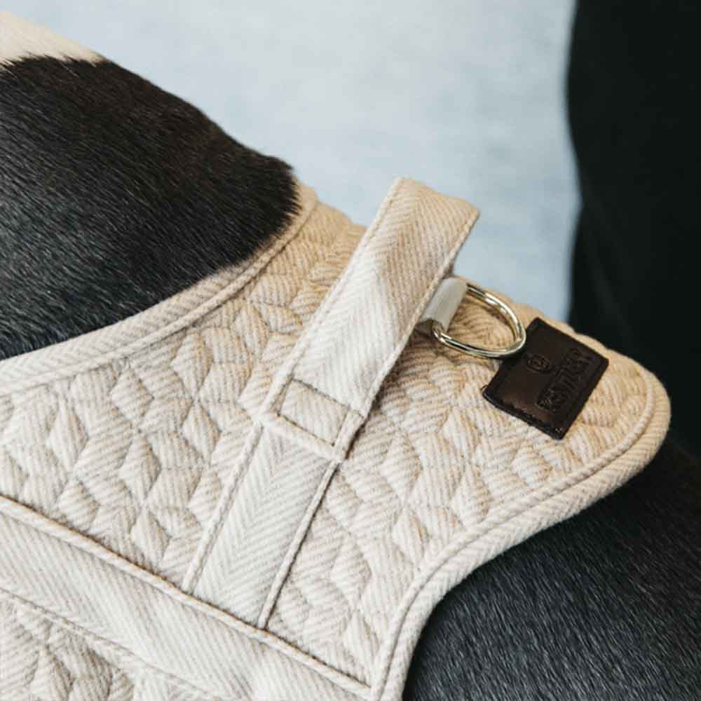 Harnais en laine pour chien Beige