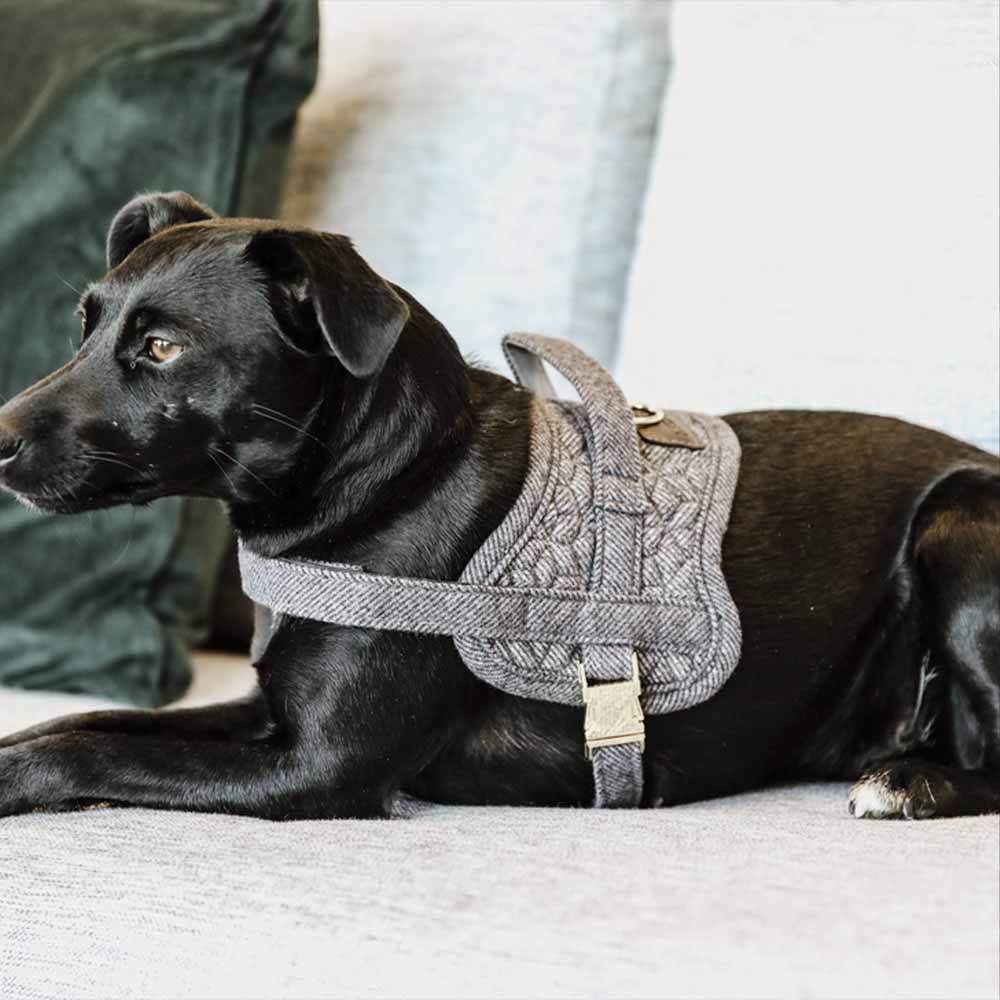 Harnais pour chien en laine gris 