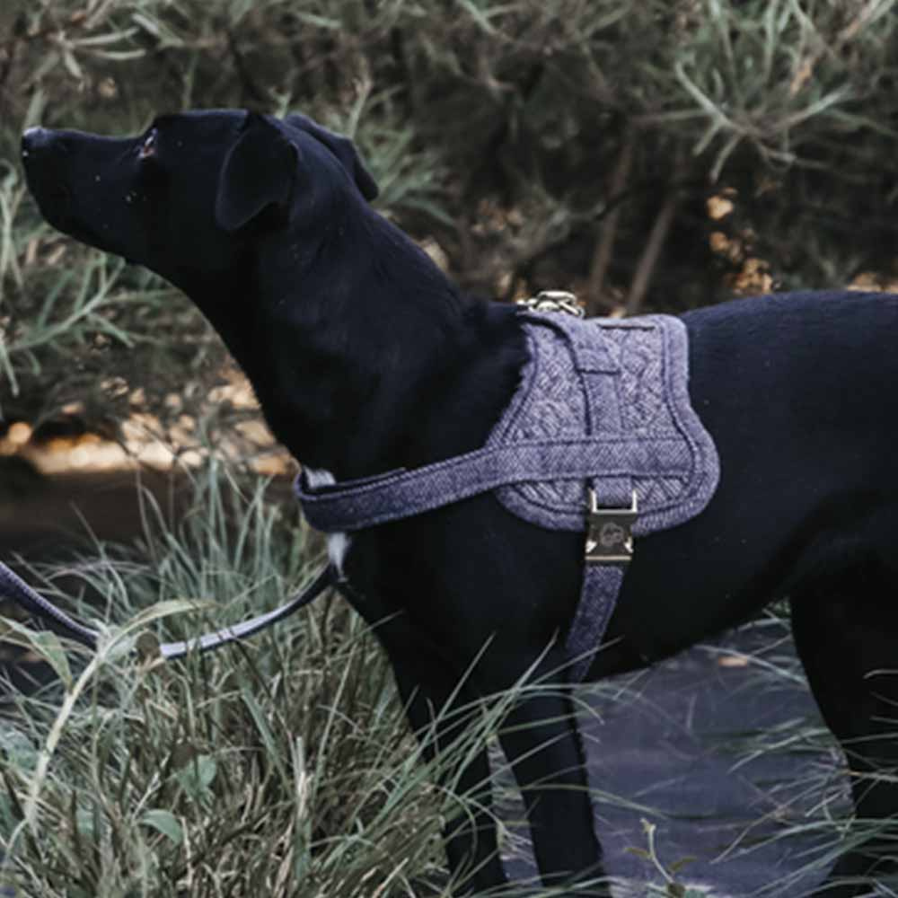 Harnais pour chien en laine gris 